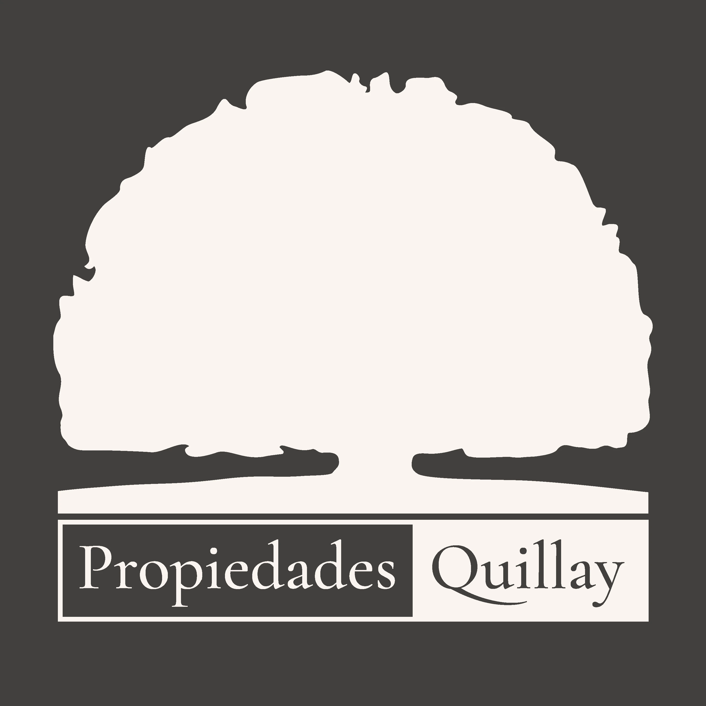 Logo Propiedades Quillay